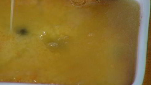 лимонная шарлотка с голубикой