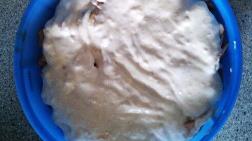 шарлотка домашняя