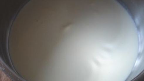 шарлотка с шоколадно-малиновым муссом и воздушным ванильным кремом