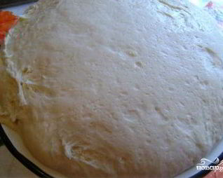 Тесто на кефире с дрожжами