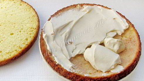 торт малинка в сметане