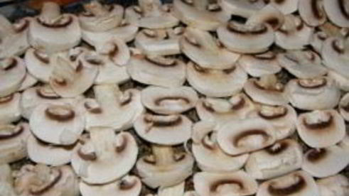 запеканка из картофеля и мясного фарша