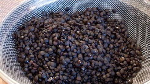 запеканка-обманка с двумя видами чечевицы