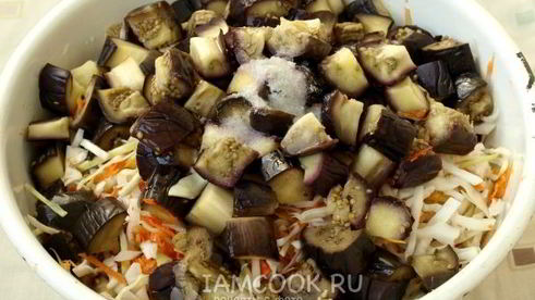 баклажаны с капустой на зиму