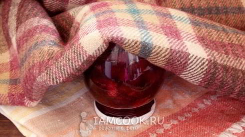 черешня в собственном соку на зиму