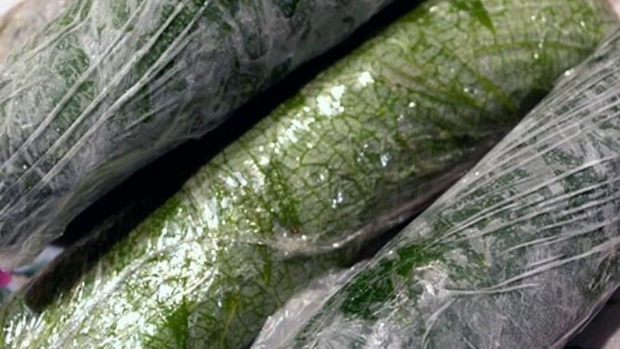 Рецепт долма на зиму