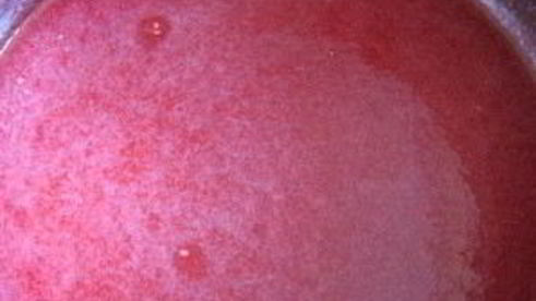 джем из красной смородины на зиму