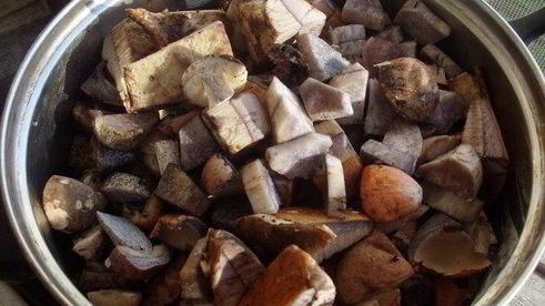 грибочки на зиму