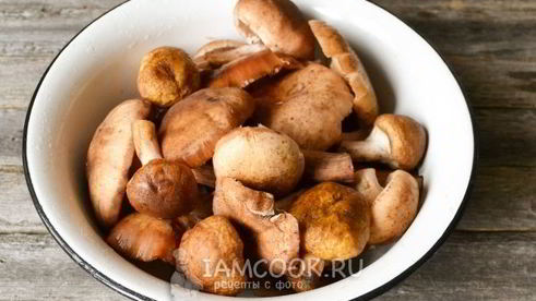 икра из опят с чесноком на зиму