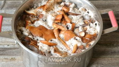 икра из опят с чесноком на зиму