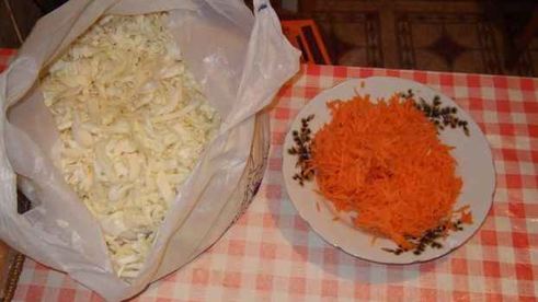 капуста квашеная