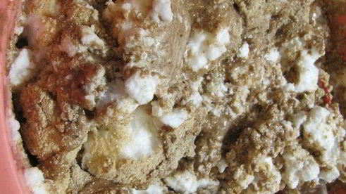 гречневый торт с брусничным компотом