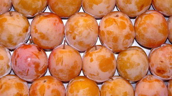 Рецепт Компот из алычи на зиму