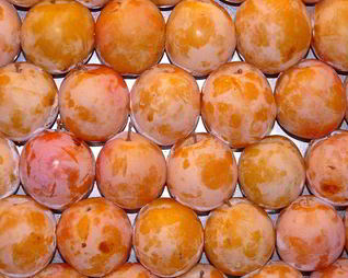 Компот из алычи на зиму