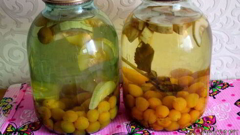 компот из алычи с кабачком