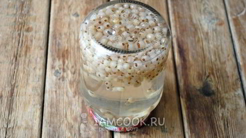 компот из белой смородины на зиму