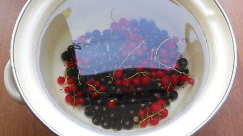 компот из красной и черной смородины