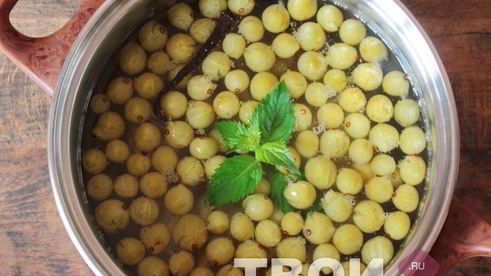 компот из крыжовника и мяты