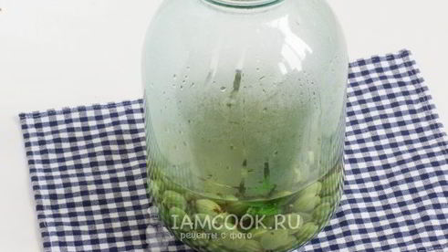 компот из крыжовника с мятой