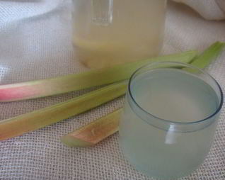 Компот из ревеня