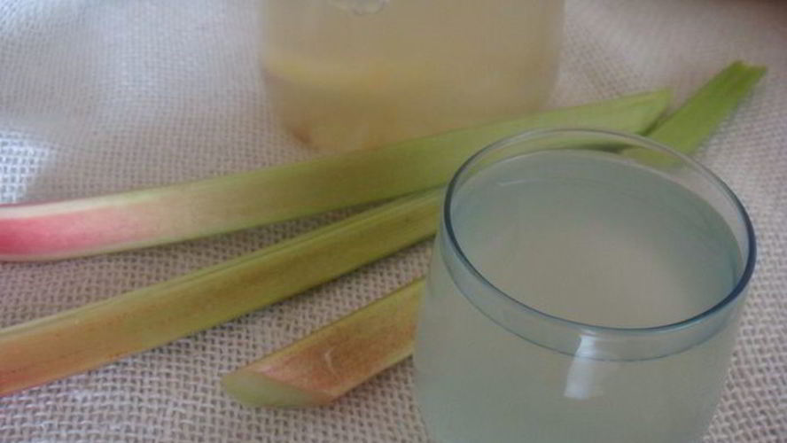 Рецепт компот из ревеня