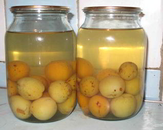 Компот из слив с косточками на зиму