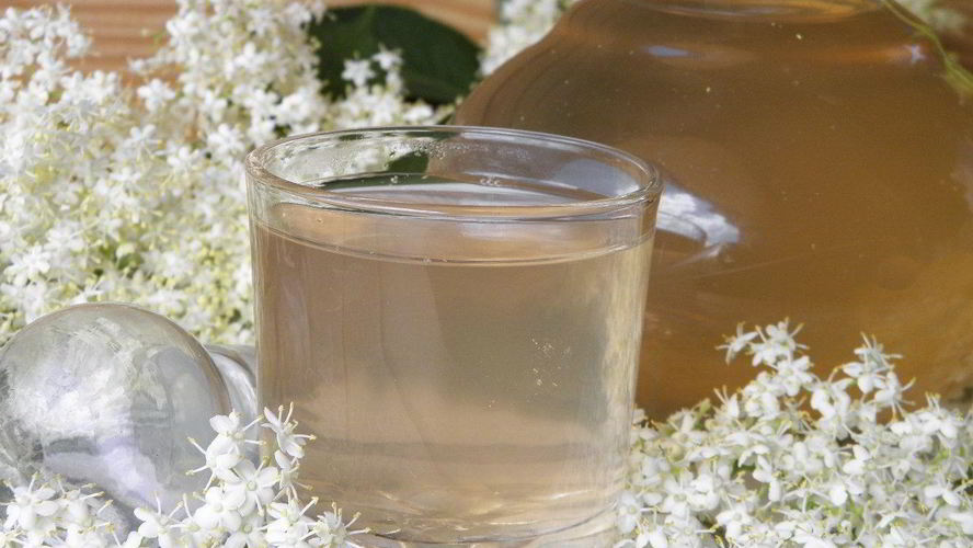 Рецепт компот из цветков бузины