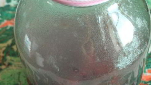 компот с алычой и малиной