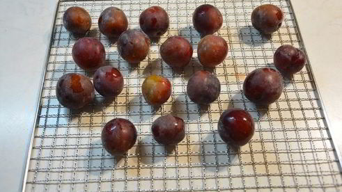 компотная смесь