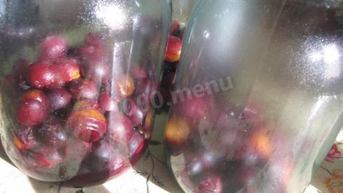 сливовый компот из сливы с косточками