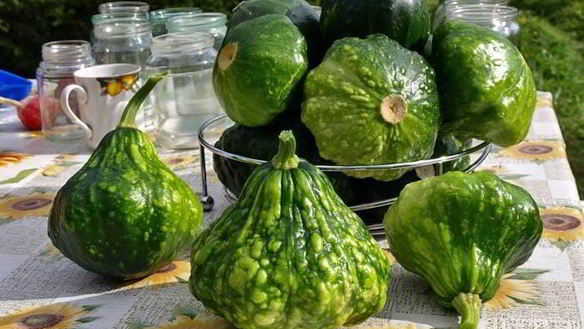 Рецепт Консервация патиссонов на зиму