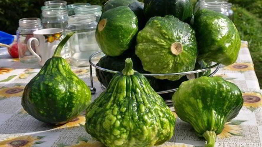 Рецепт консервация патиссонов на зиму