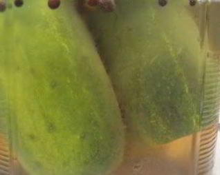 Быстрые маринованные огурцы на зиму