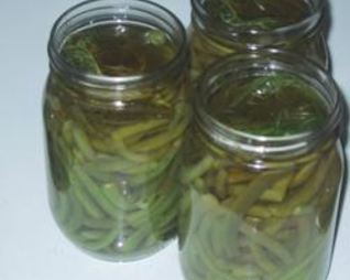 Маринованная стручковая фасоль