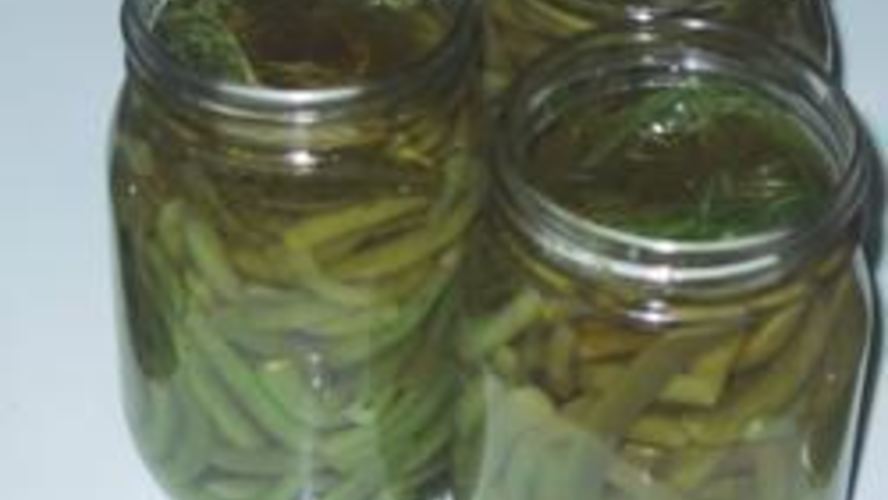 Рецепт маринованная стручковая фасоль