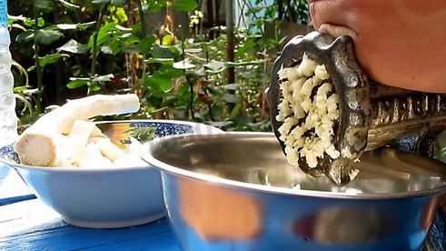 маринованный хрен на зиму