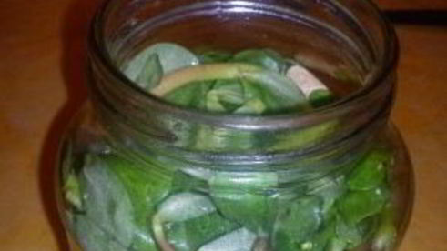 маринованный портулак