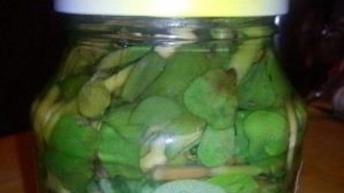 маринованный портулак