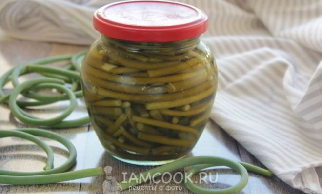 Маринованные чесночные стрелки на зиму