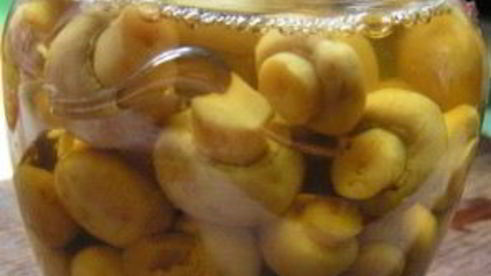 маринованные грибочки на зиму