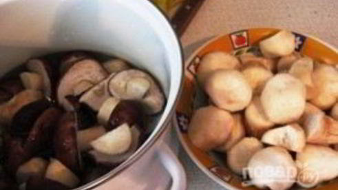 маринованные грибочки