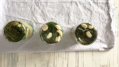 маринованные кабачки пальчики оближешь