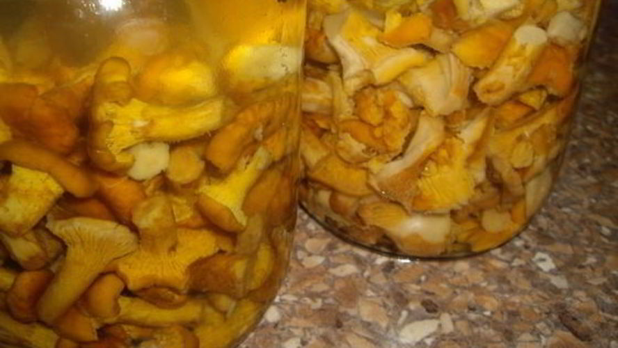 Рецепт маринованные лисички с чесноком