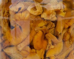 Маринованные лисички