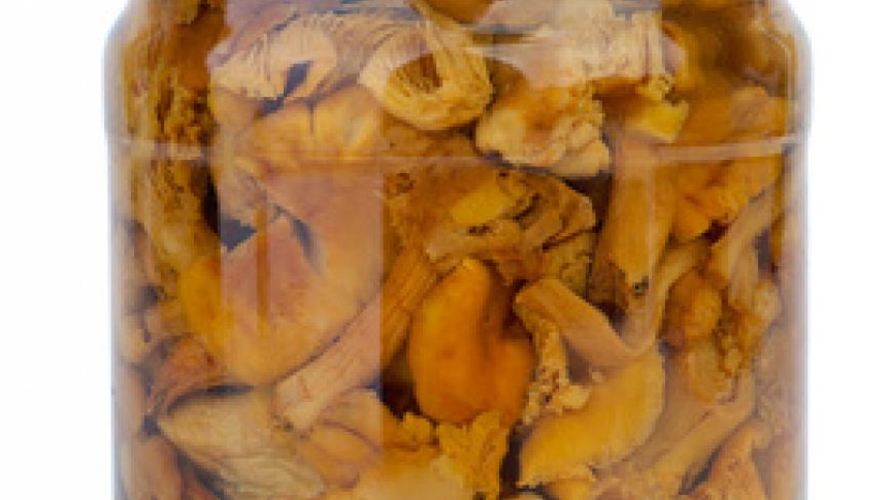 Рецепт маринованных лисичек