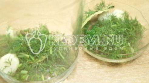 маринованные огурцы с укропом закусон