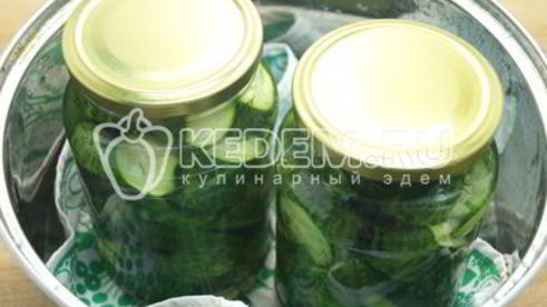 маринованные огурцы с укропом закусон