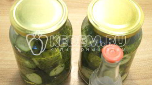 маринованные огурцы с укропом закусон