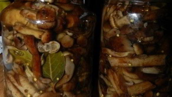 Рецепт Маринованные опята с горчицей