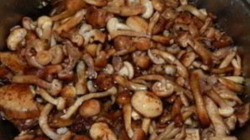 маринованные опята с горчицей